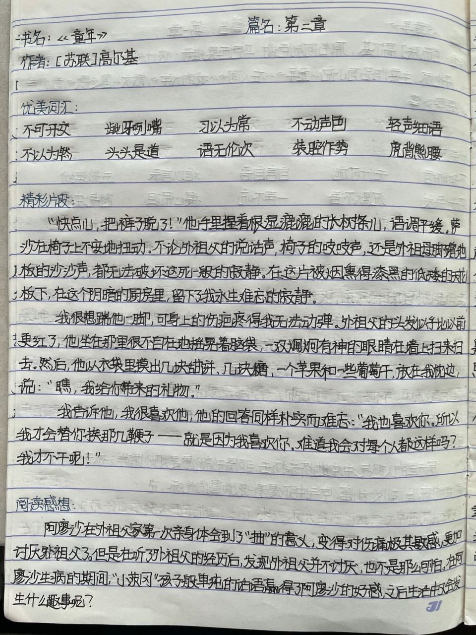 读书笔记《童年》第二章