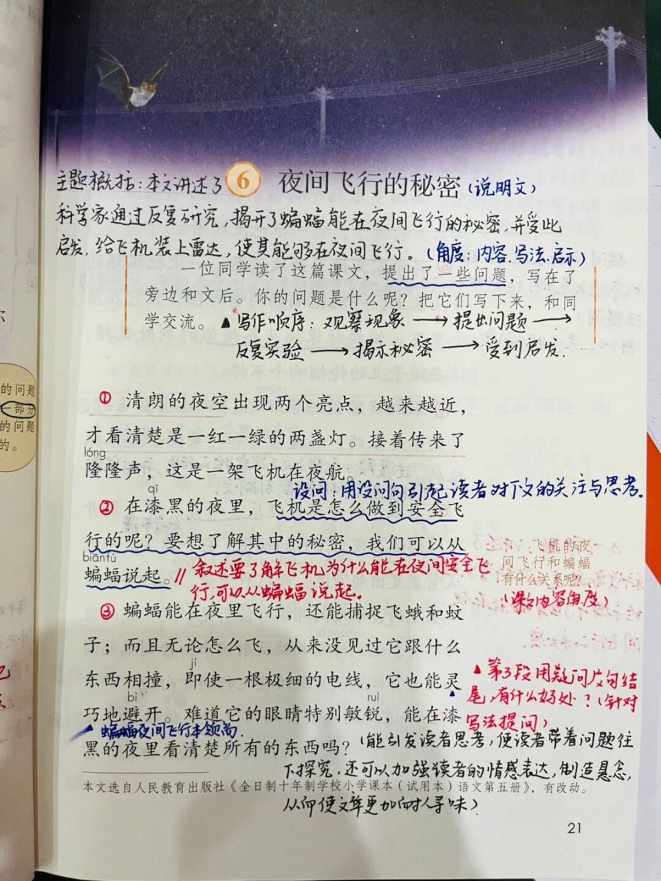 46615上备课笔记/《夜间飞行的秘密》95 #小学语文备课# #语文