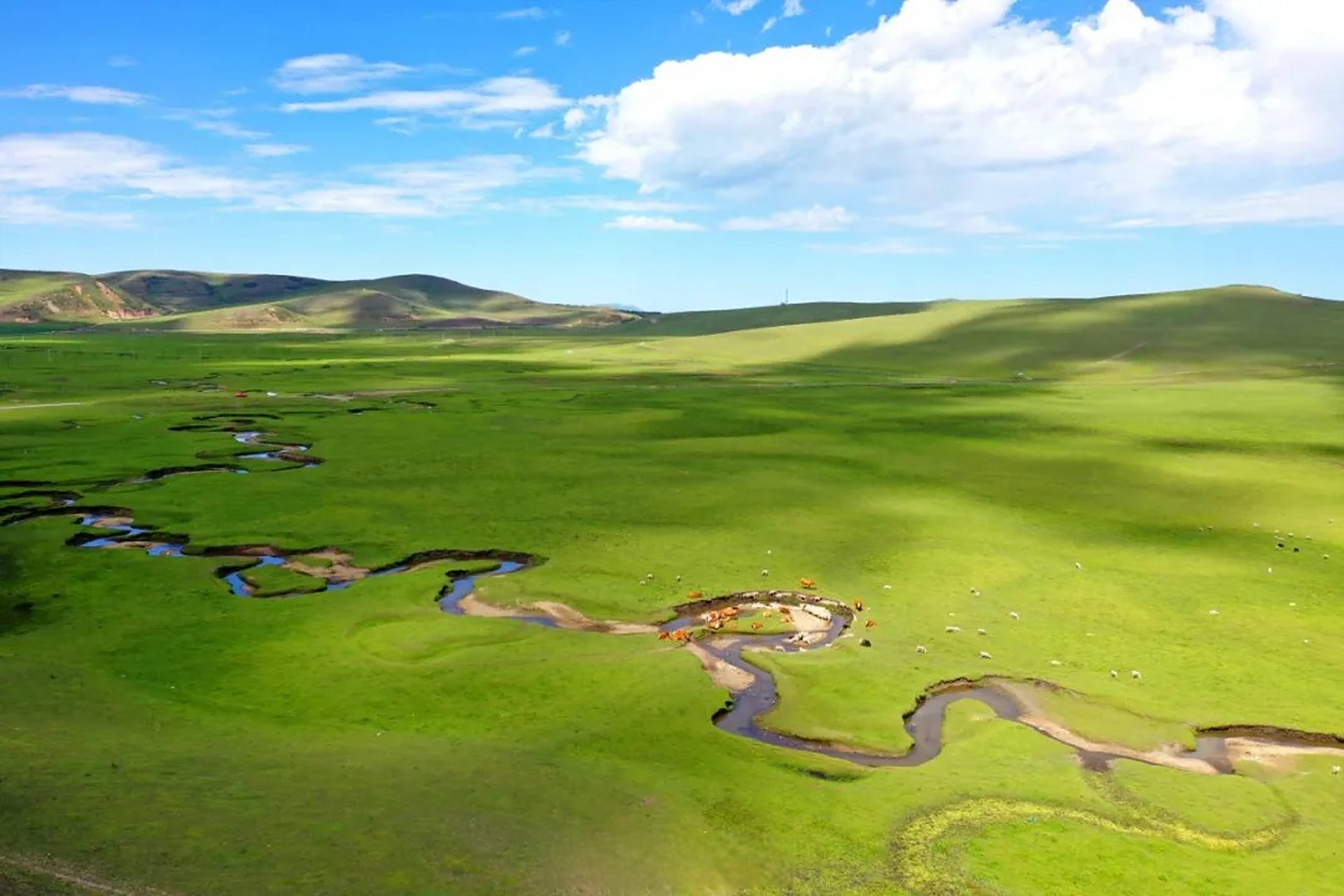是时候去甘肃旅游了# 夏日的狼渡湿地草原,水草丰茂,原始生态良好,没