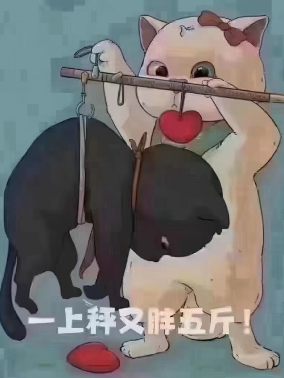 一定要时刻记住自己几斤几两 天冷了,一定要勤上秤冬天穿的厚,胃口好