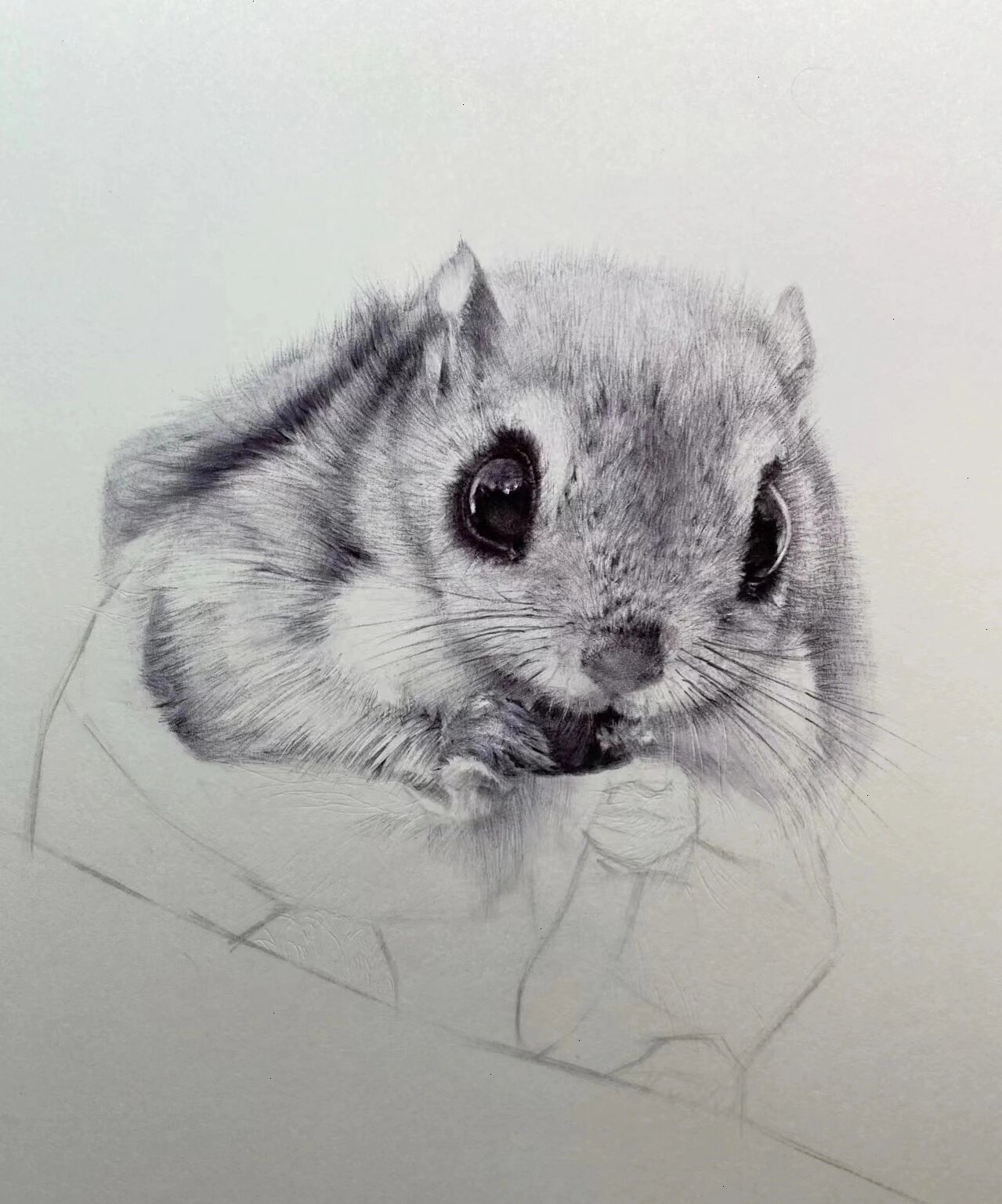 飞鼠全因素素描步骤示范画