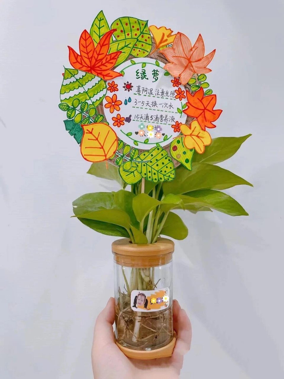 植物认领牌,第一个是网友的,后面是自己做的,植物可以找素材打印出来