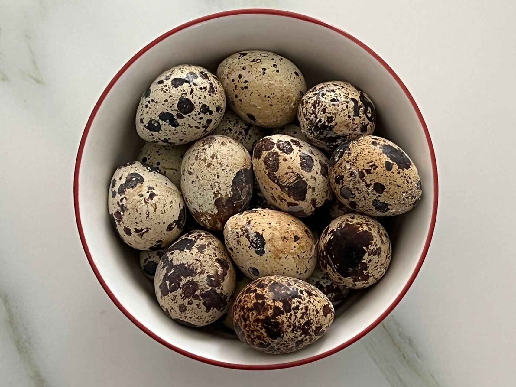 "鹌鹑"怎么读? "鹌鹑"的读音为ān·chún.