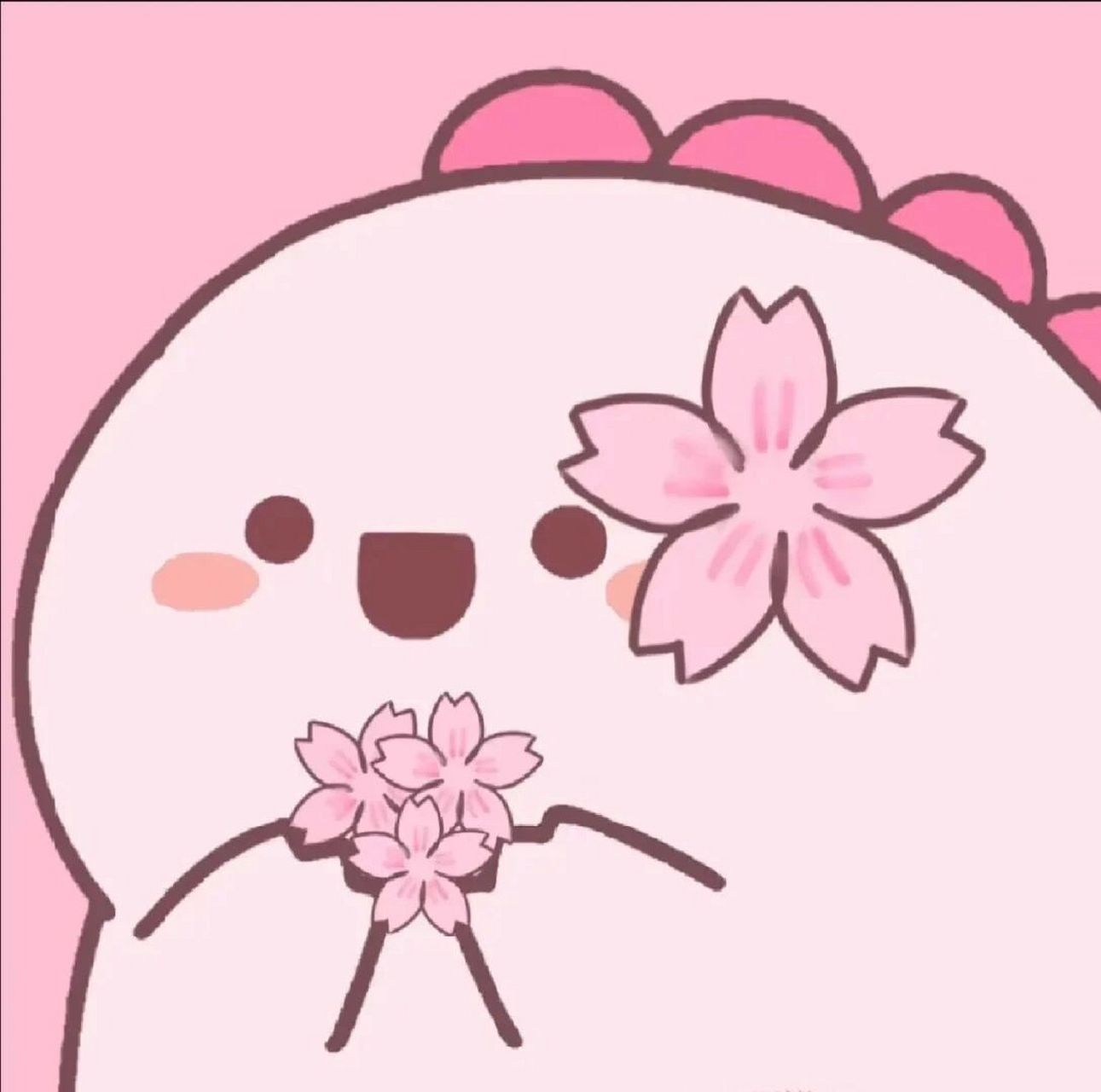 Momo's avatar