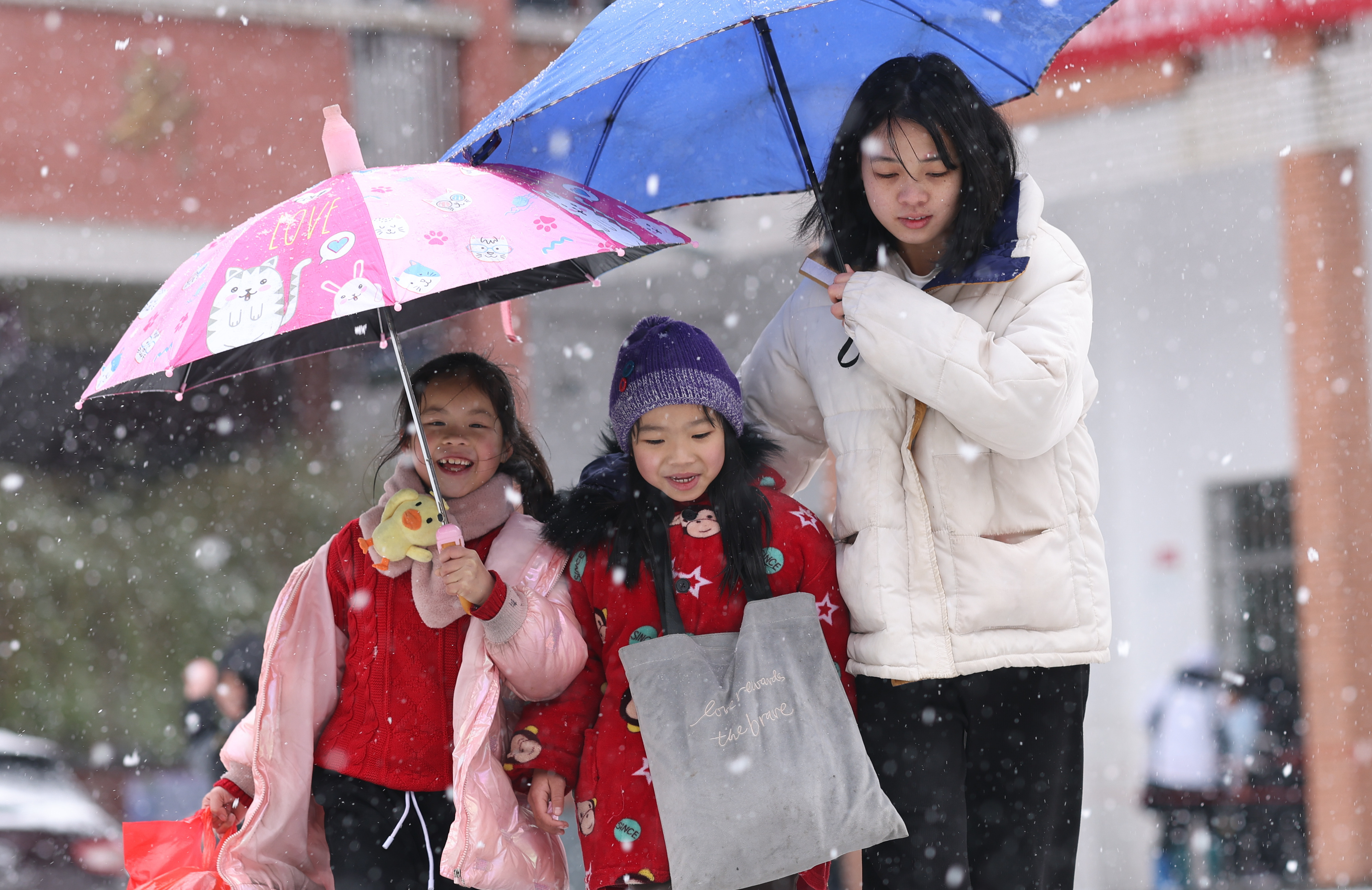 为留学生提供移民捷径留学在线 为留学生提供移民捷径留学在线
