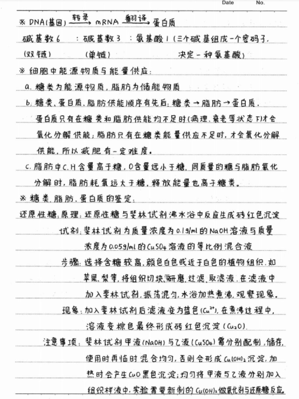 衡水学霸笔记图片人物图片