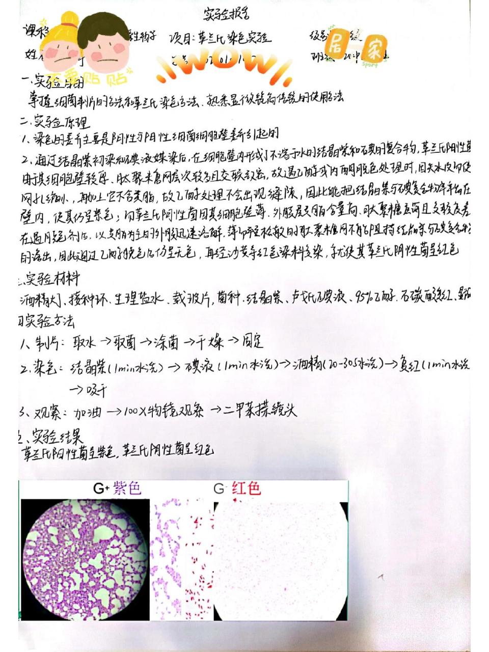 医学免疫学实验报告之革兰氏染色实验       发现实验报告的浏览量
