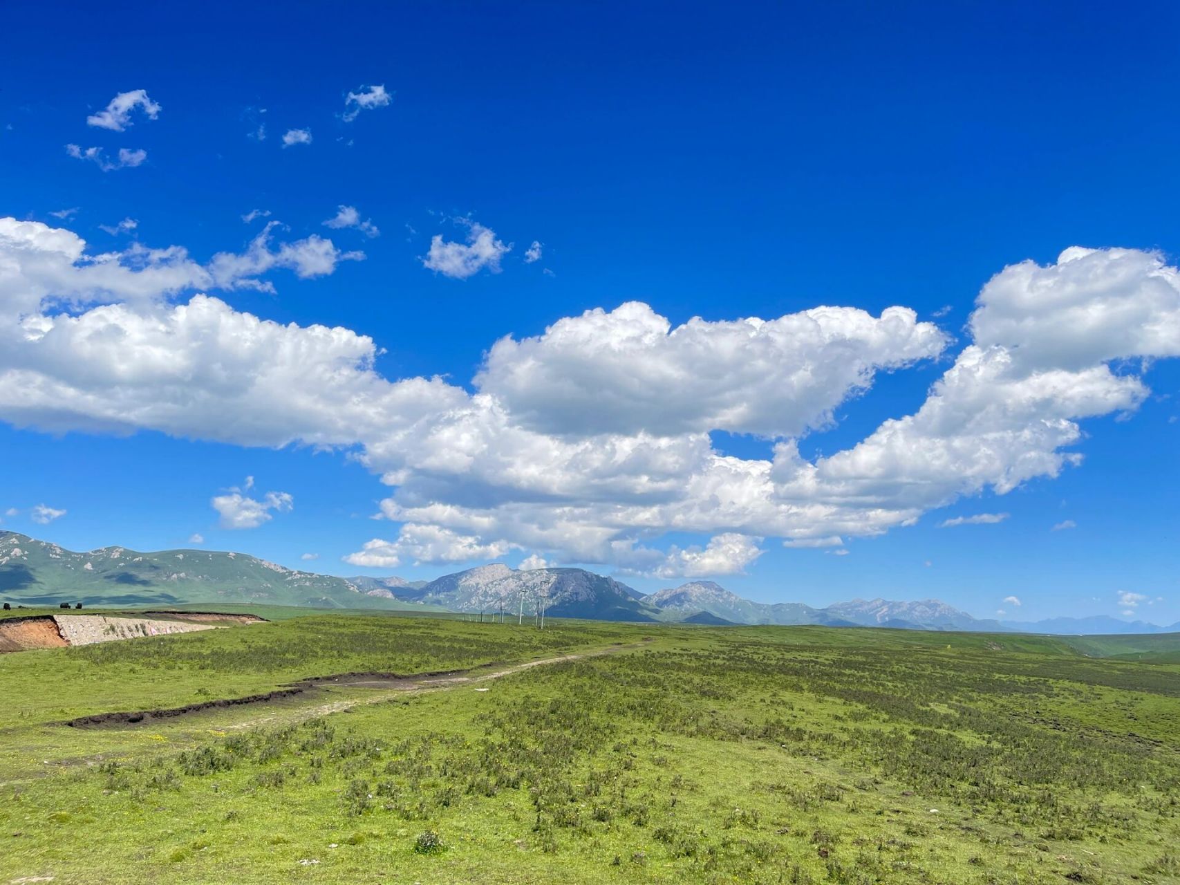 甘南行之美仁大草原 day1:美仁大草原 感觉比桑科草原更美,小土包样的