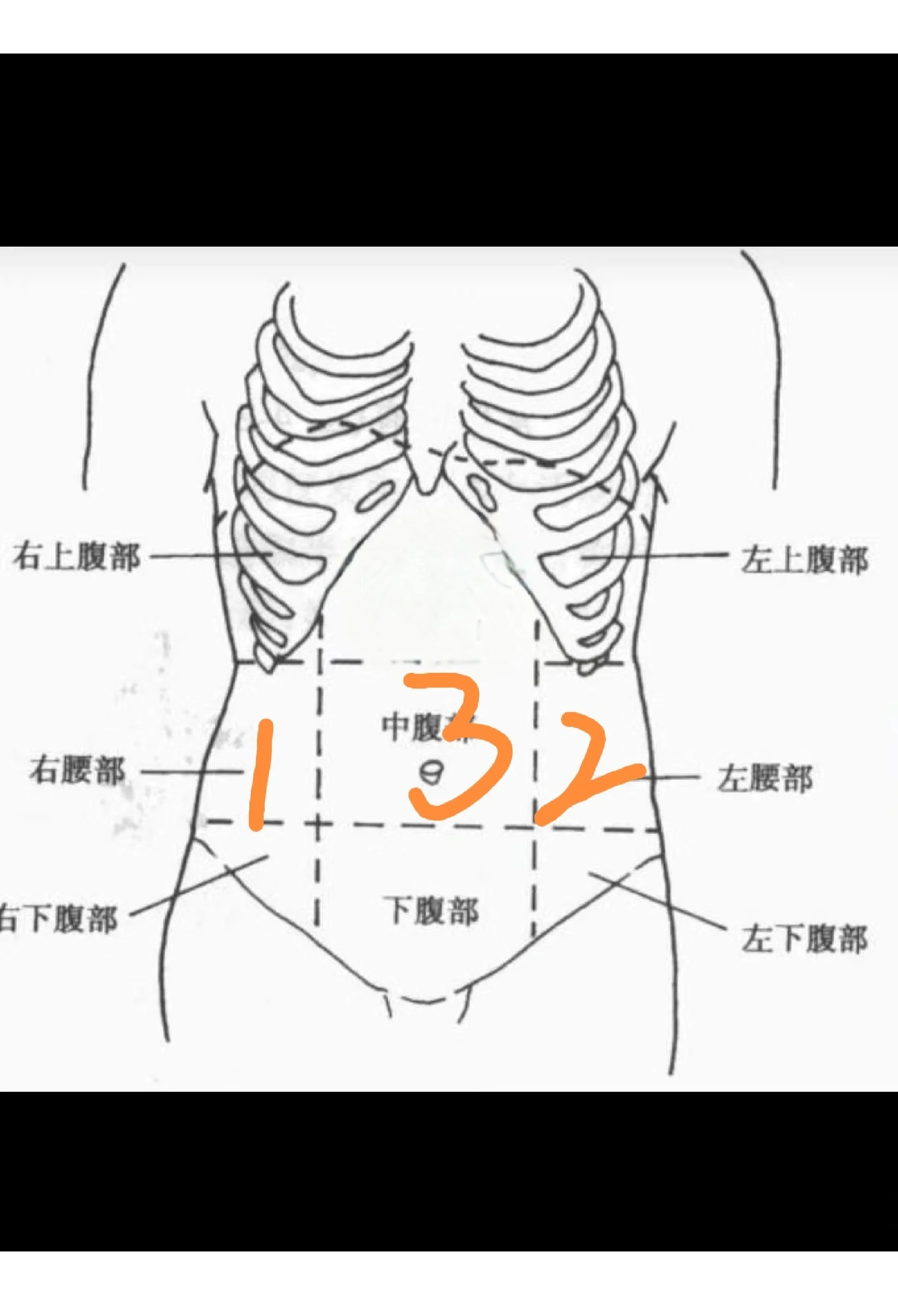 肚子岔气疼的位置图图片