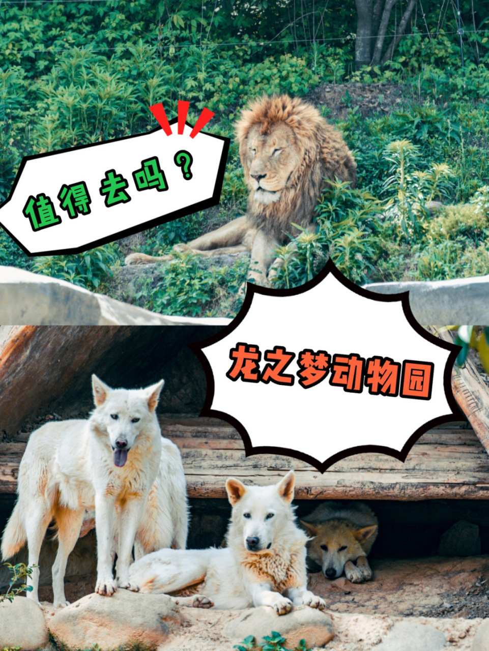 南京-湖州|拔草71新晋网红-龙之梦乐园值吗 93我是活猪子,一枚