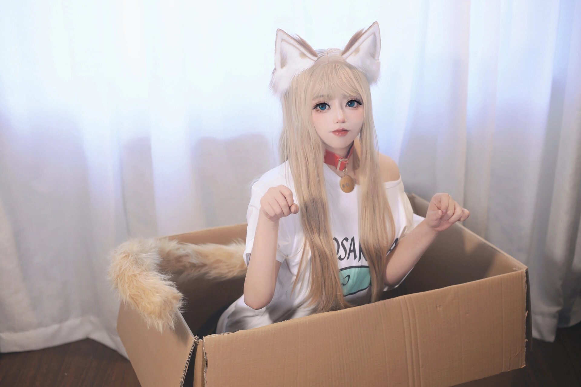 40原猫娘 黄豆粉cos