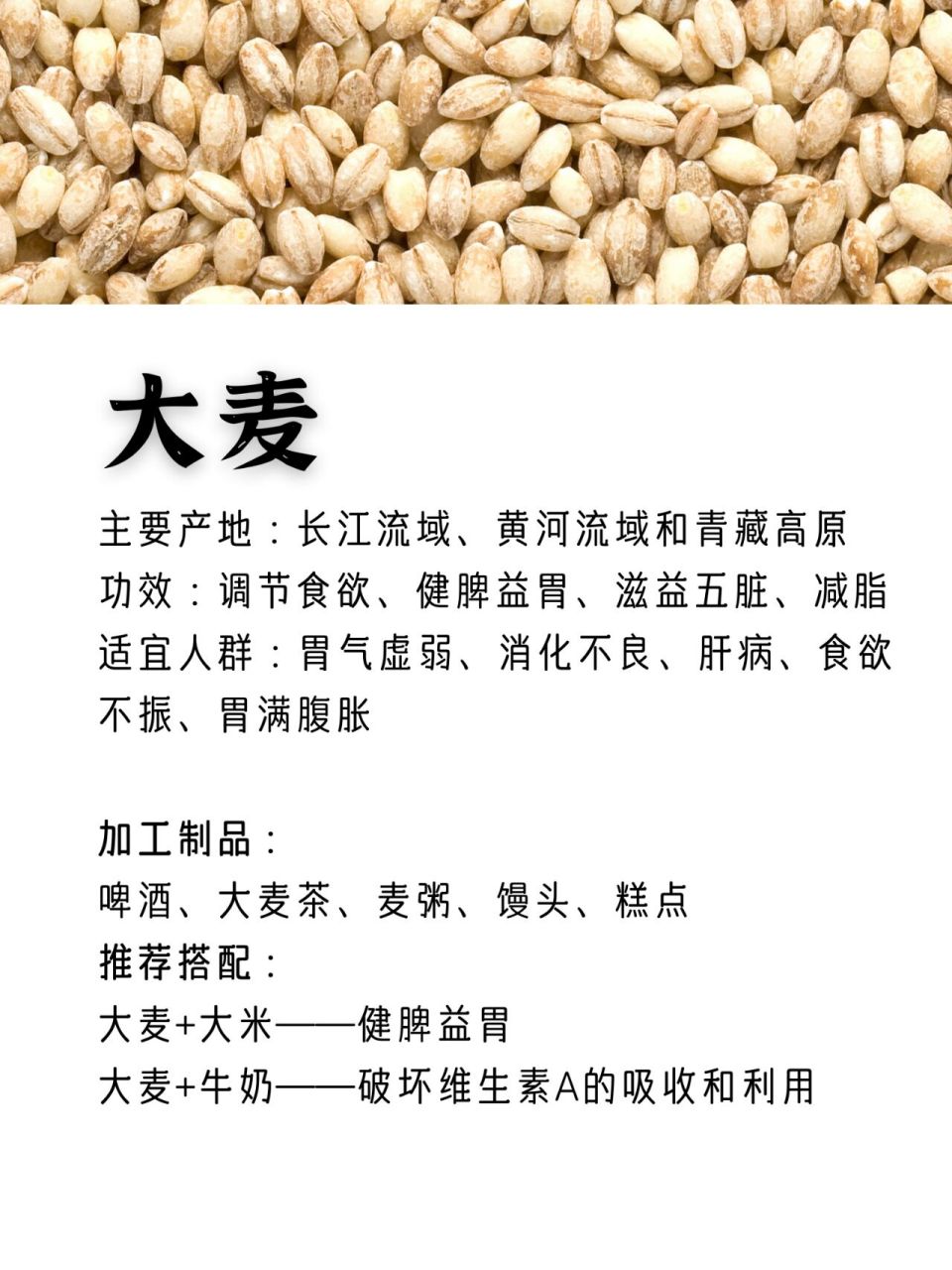 粮食图鉴3|营养能手麦麦家族09 小麦,大麦,燕麦,荞麦经常出现在我们