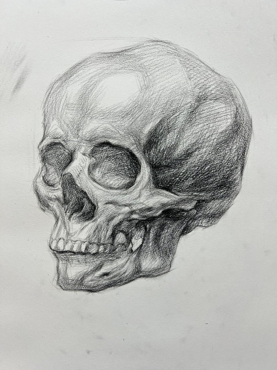 素描 骷髅头骨 附步骤 好久没好好的画幅素描了 美术生必学