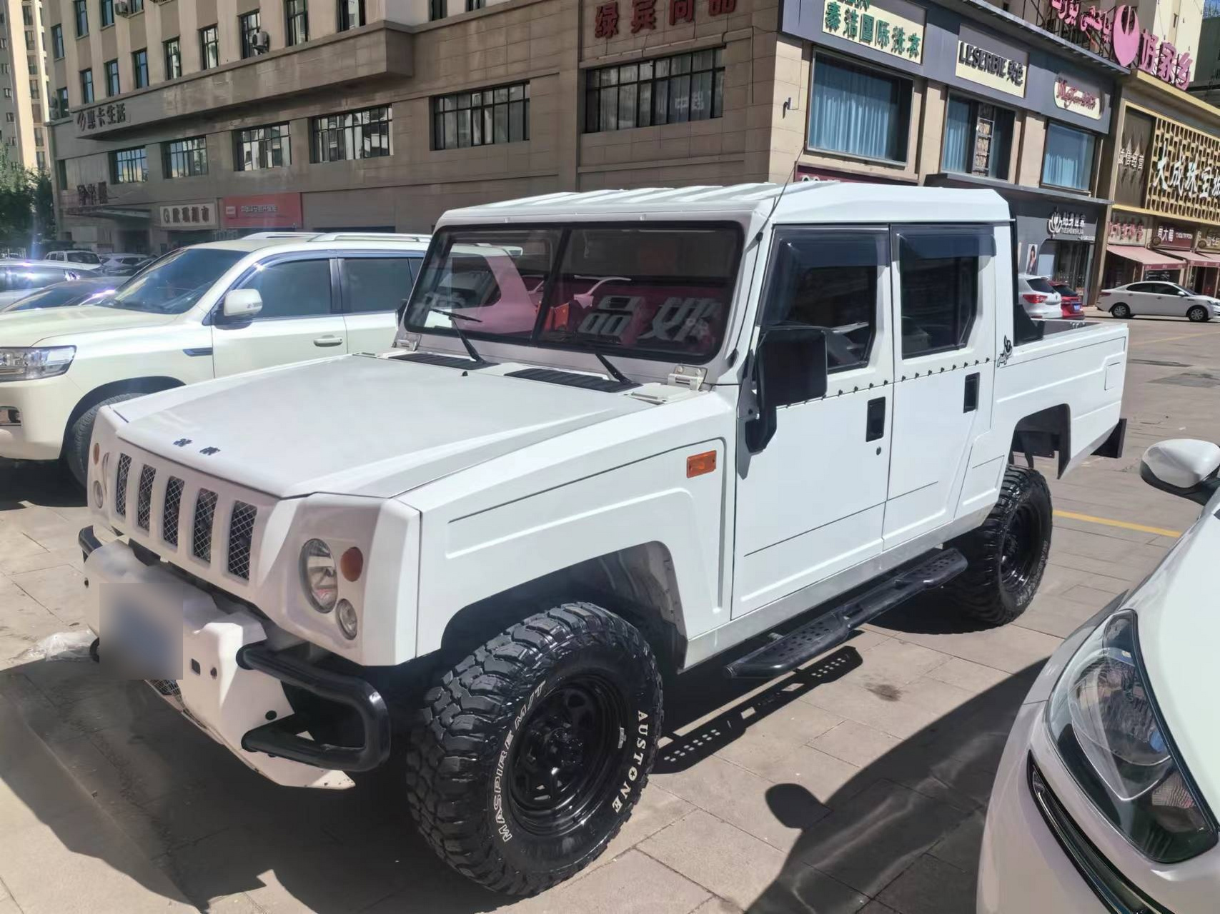 出 北京勇士皮卡,2.