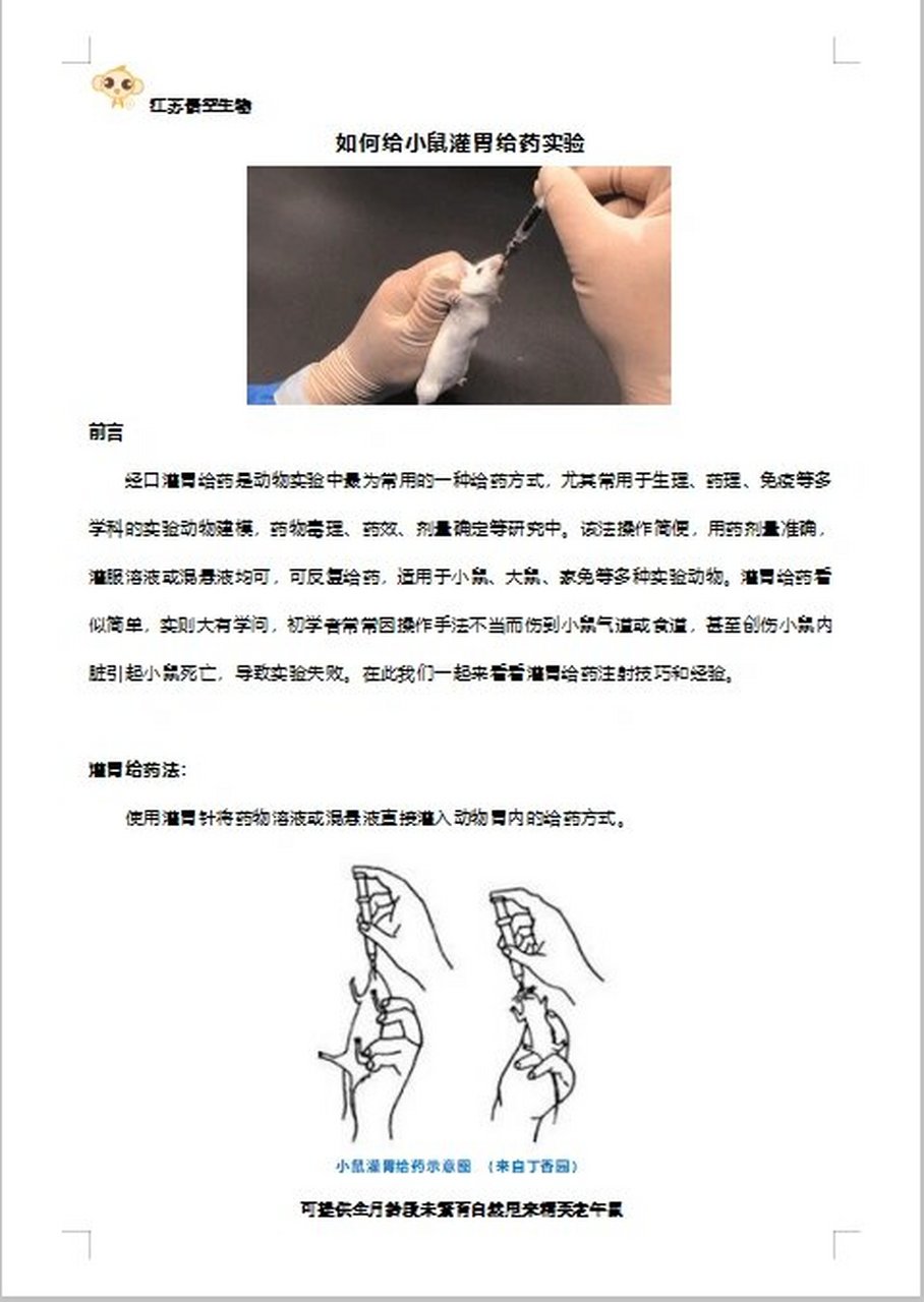 小白鼠腹腔注射方法图片