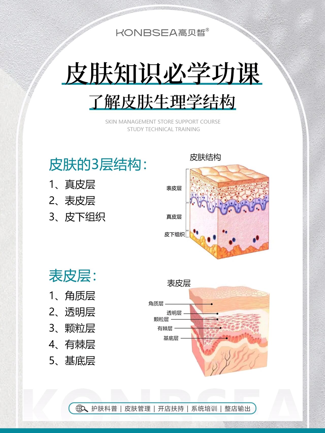 了解皮肤的原理| 皮肤生理学结构知识必学