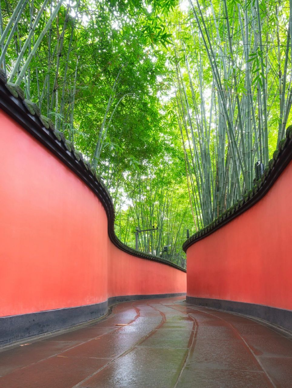 成都武侯祠红墙vs成都杜甫草堂红墙 前三张是武侯祠,后四张是草堂