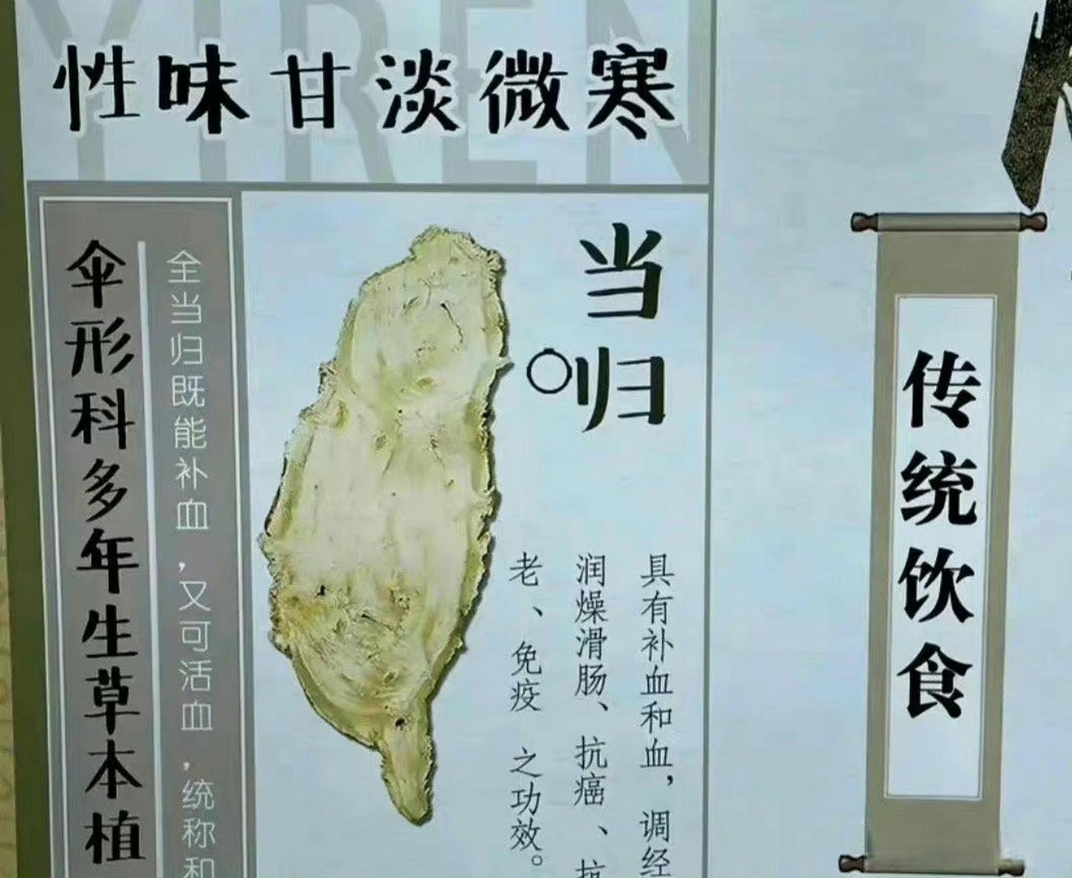 台湾当归#真丶当归.冥冥中早都该这样了.