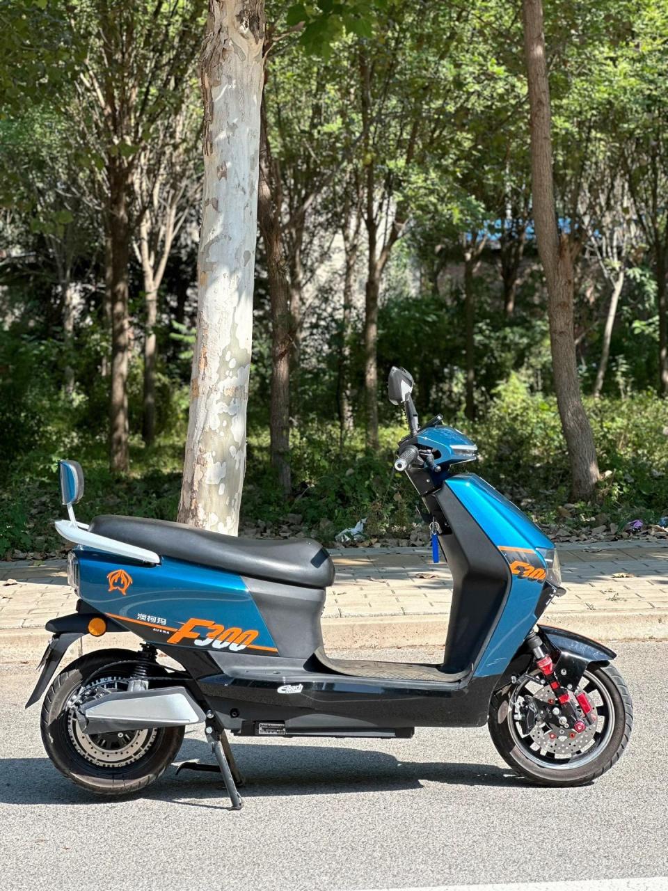 23年7月购买的,刚2月,澳柯玛f300 最高时速80km迈,长续航300里地 全款