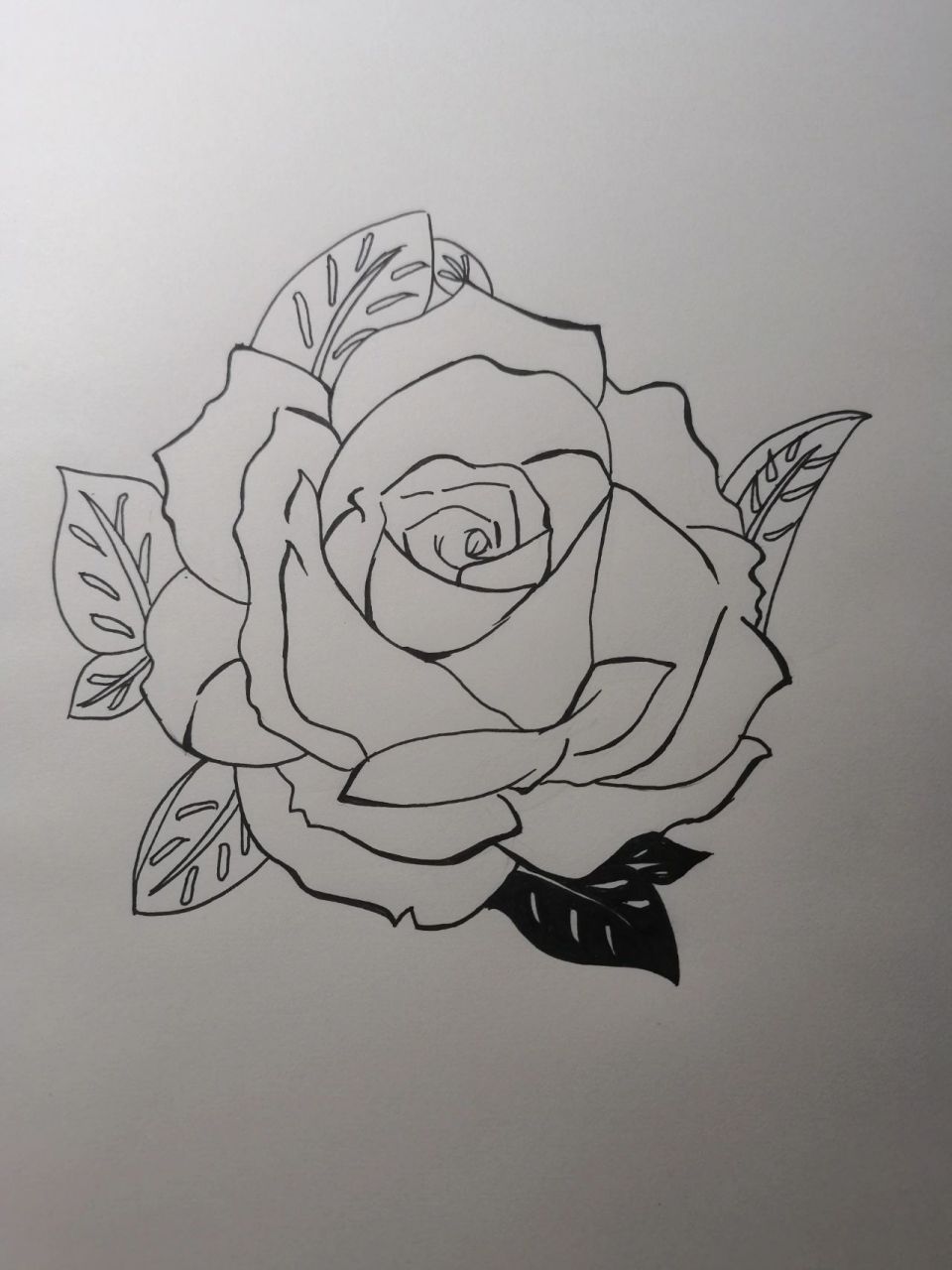 玫瑰花简笔画94   相册翻到两张很久之前的照片,就当发第1条动态啦