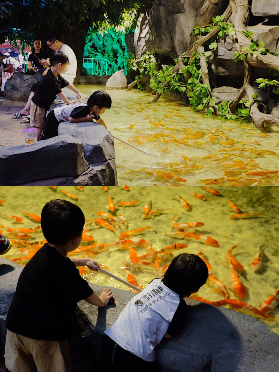 金华的"海底世界"——万泰海立方海洋公园 地址:婺城区紫金南街与330