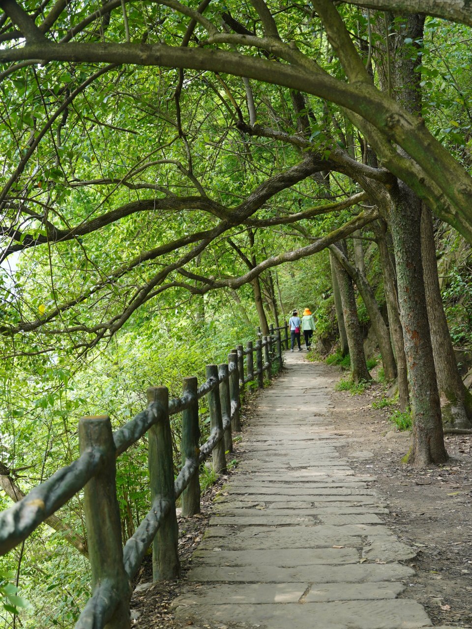 重庆北碚 | 张飞古道轻徒步(入门级) · 🚶🏼‍♀️张飞古道