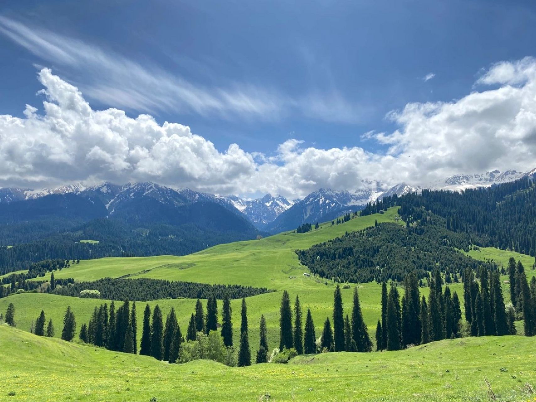 新疆·伊犁·巩留·恰西森林公园旅行攻略 恰西森林公园位于巩留县城