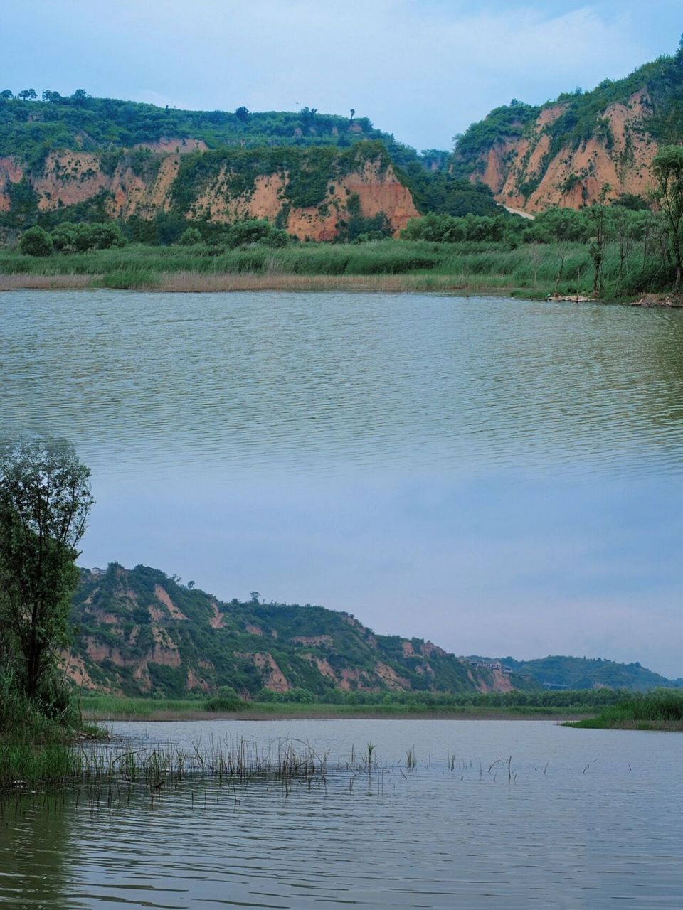 荥阳宝藏黄河湿地93浅滩玩水采莲钓鱼露营 0269♂15这里属于