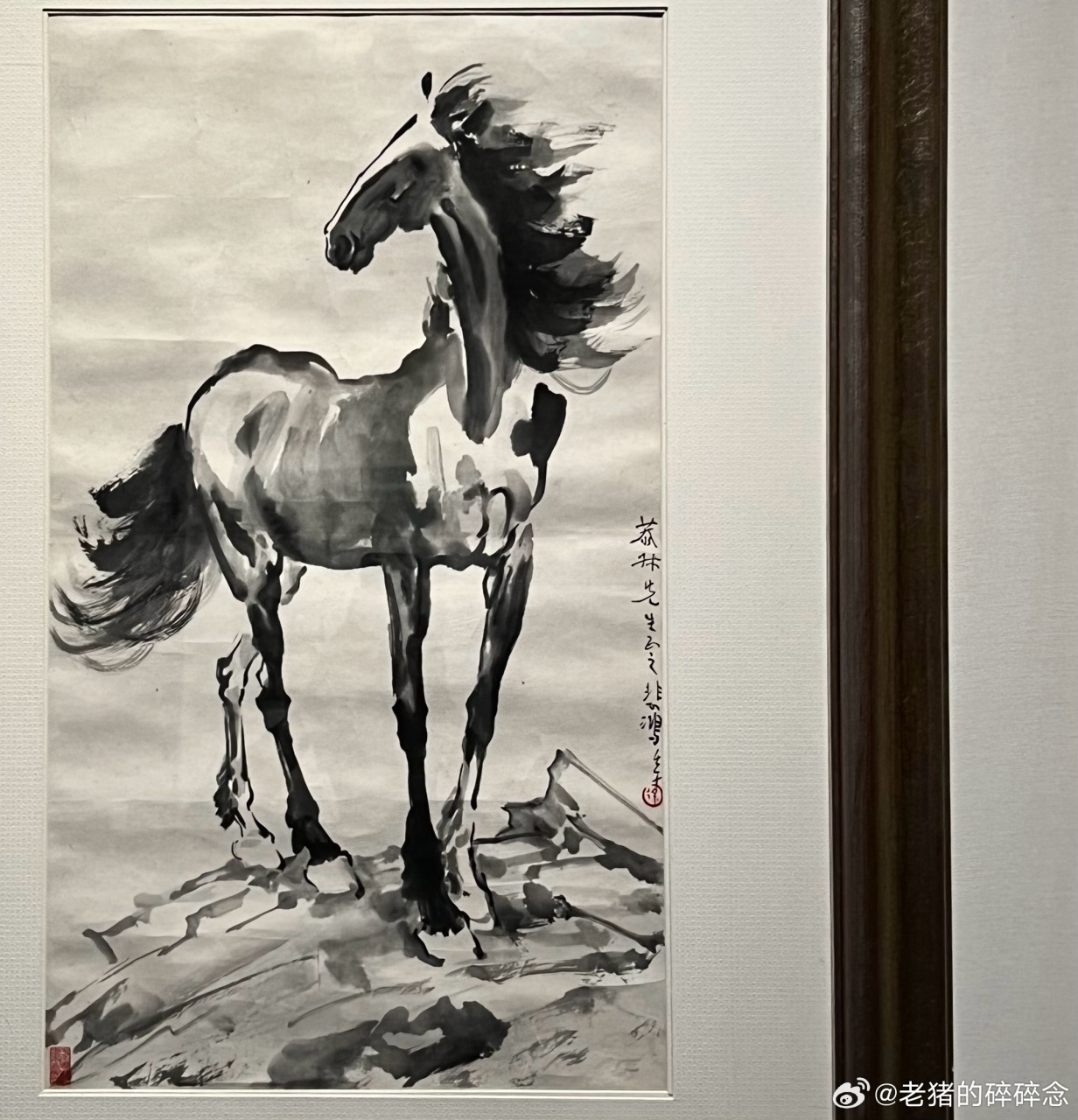 看真迹|徐悲鸿的马.