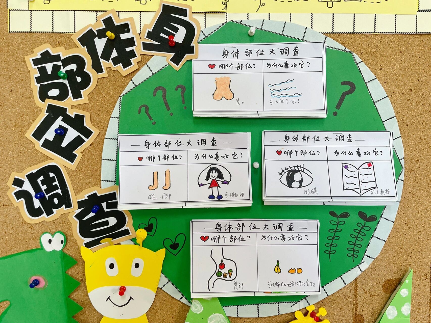 小身体大奥秘大班主题墙