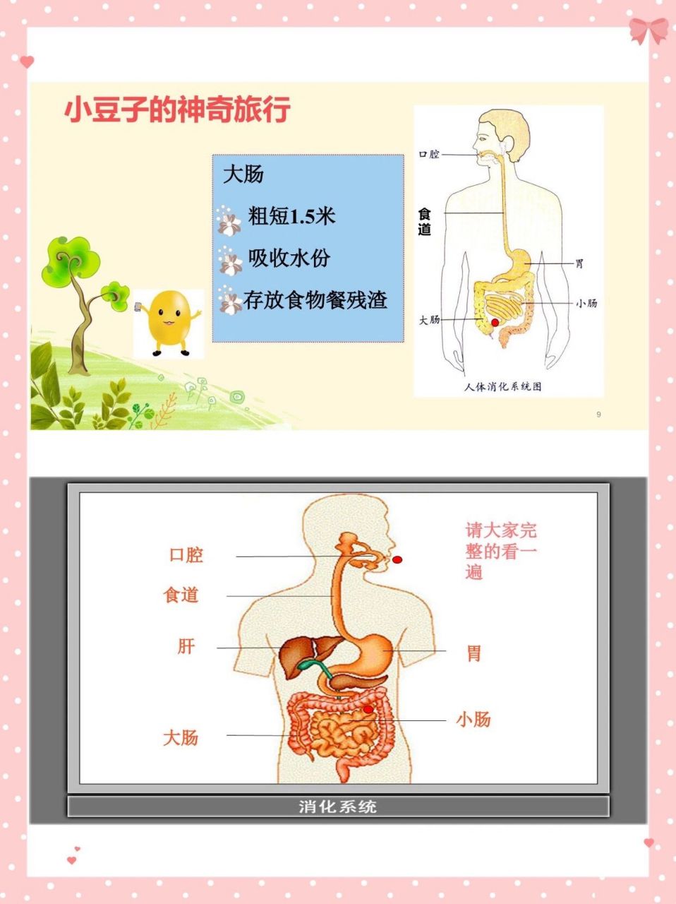 幼儿园一等奖公开课|大班健康《食物旅行记》 97今天给大家分享一节