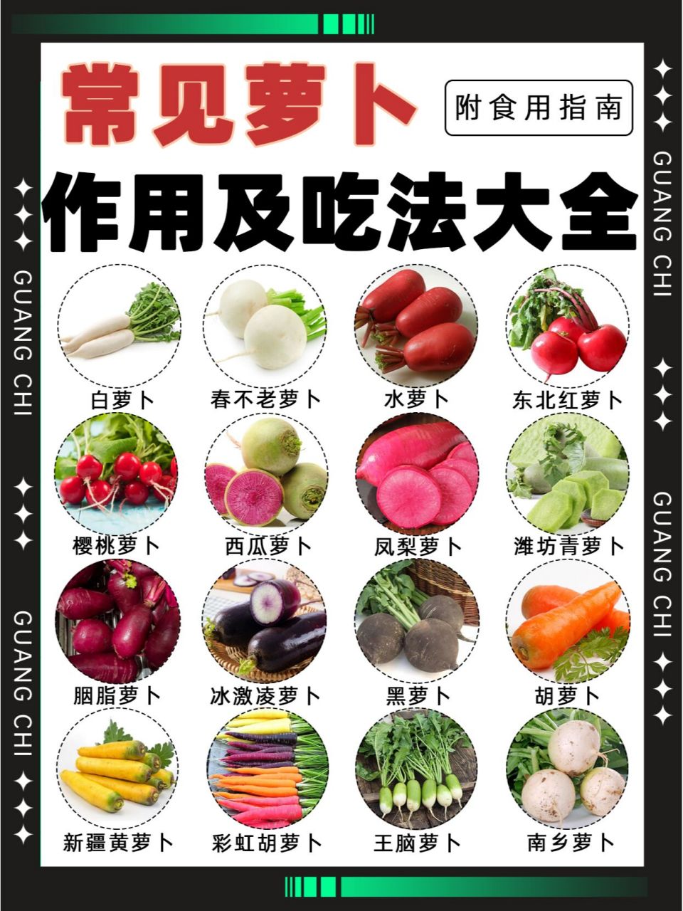 16种萝卜大合集|看一看有你家乡的萝卜吗?