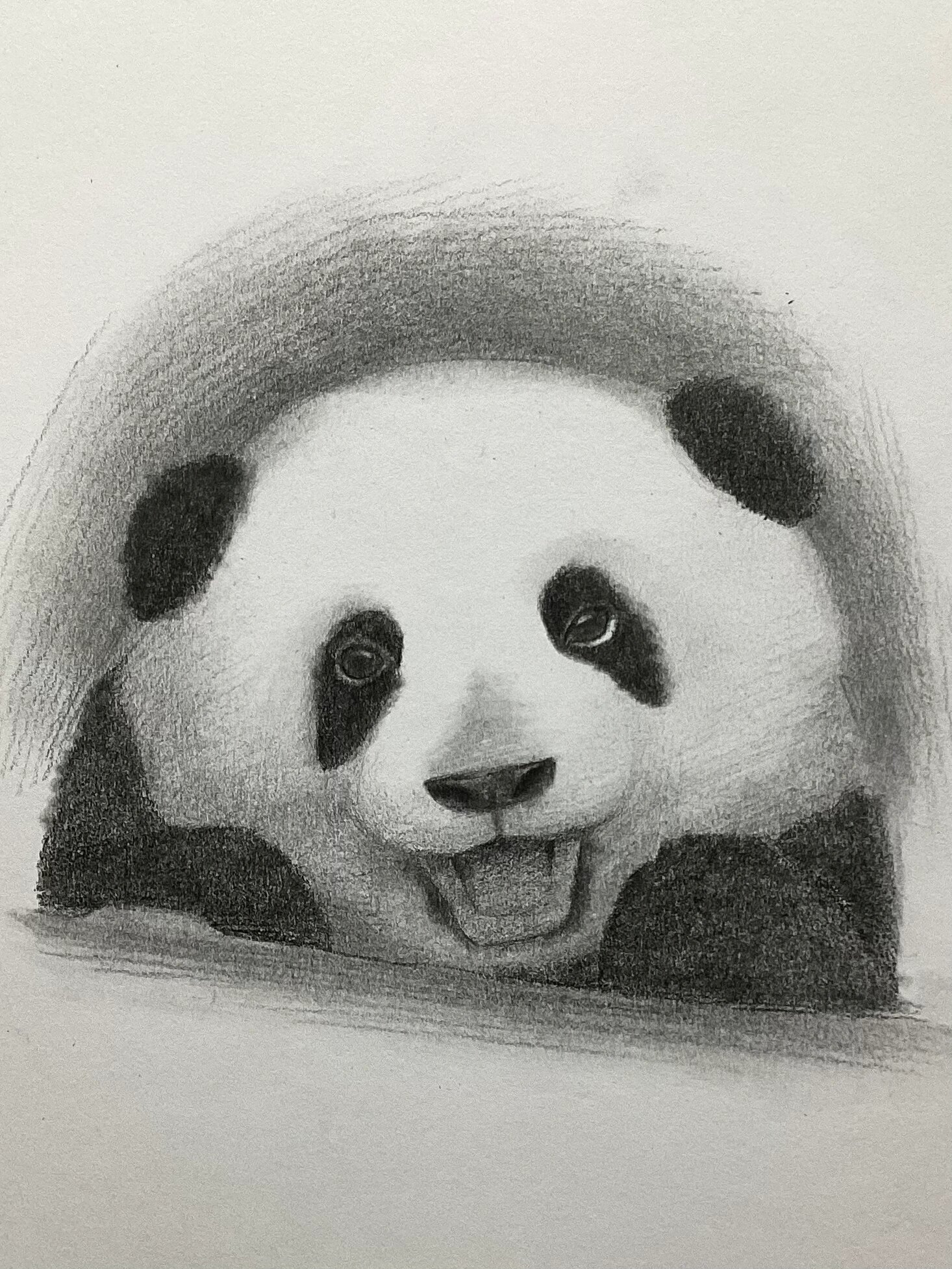 9494素描超可爱熊猫 步骤详解