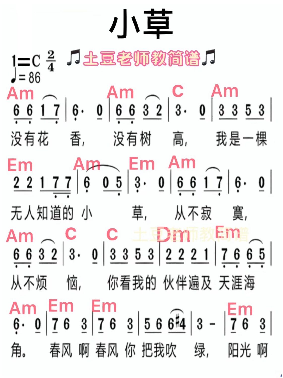 小草 简谱(已搭配左手和弦