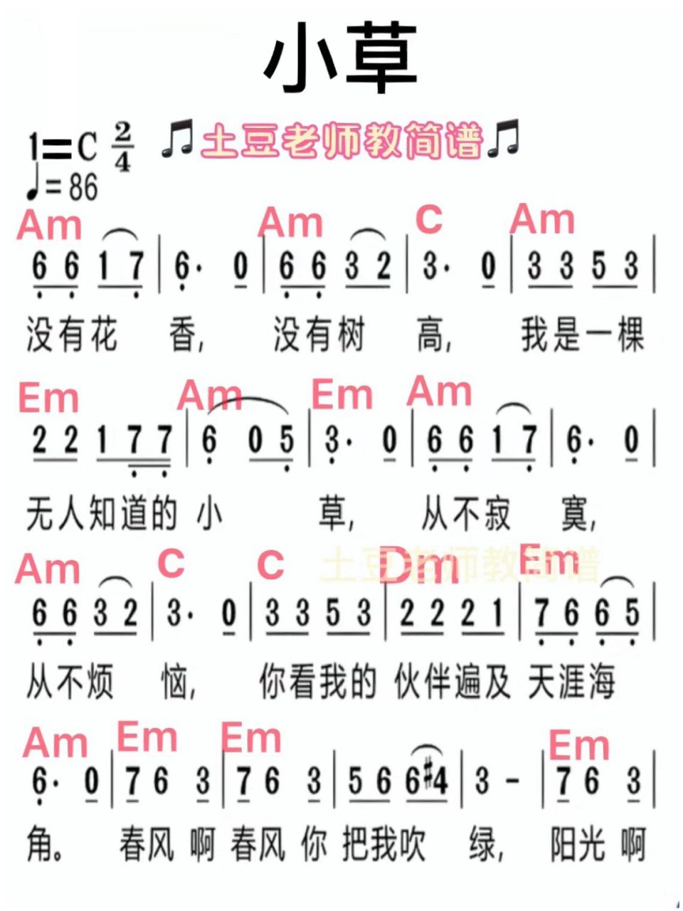 小草 简谱(已搭配左手和弦) 余生,像小草一样活着,随处发芽,坚韧不拔