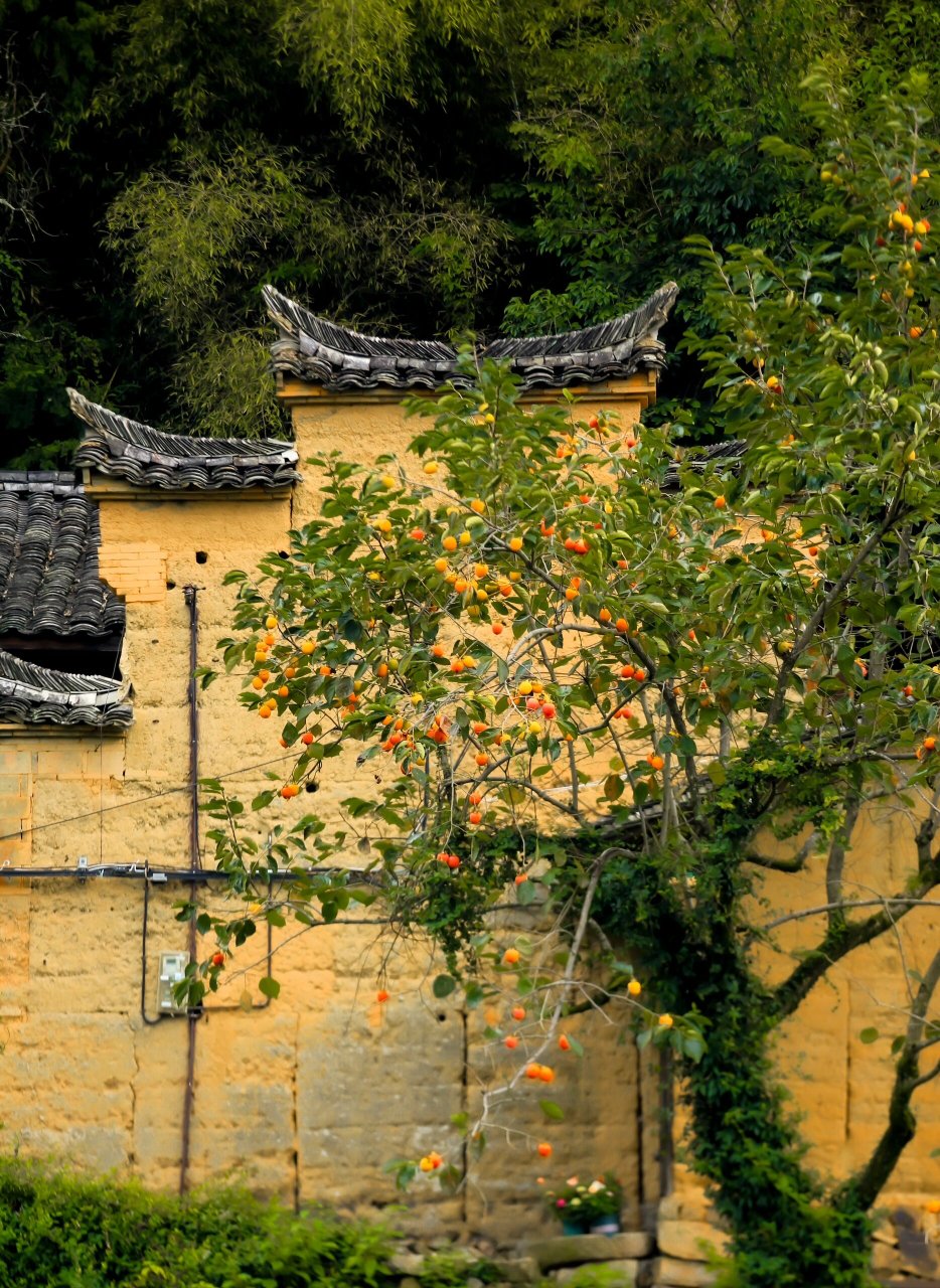 浙江丽水松阳古村之|酉田村 98景点介绍 浙江丽水市松阳县古村落之