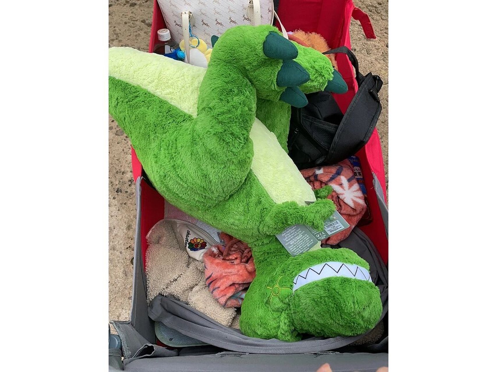 虽然喜提壁纸 但是抱抱龙一发入魂 朋友们一定要轻 要慢#上海迪士尼