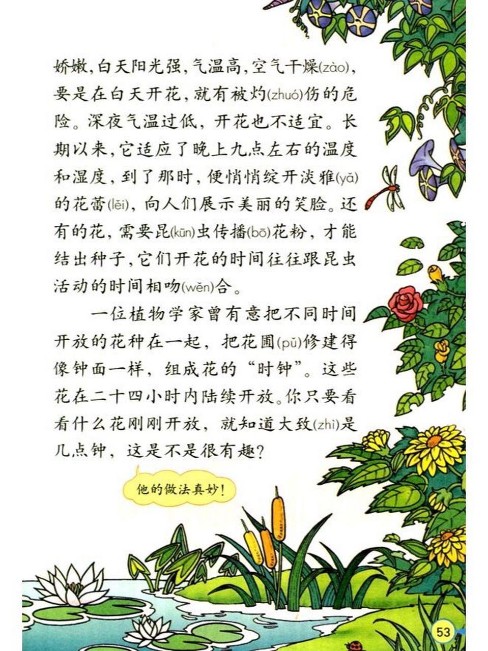 花钟第一自然段图片