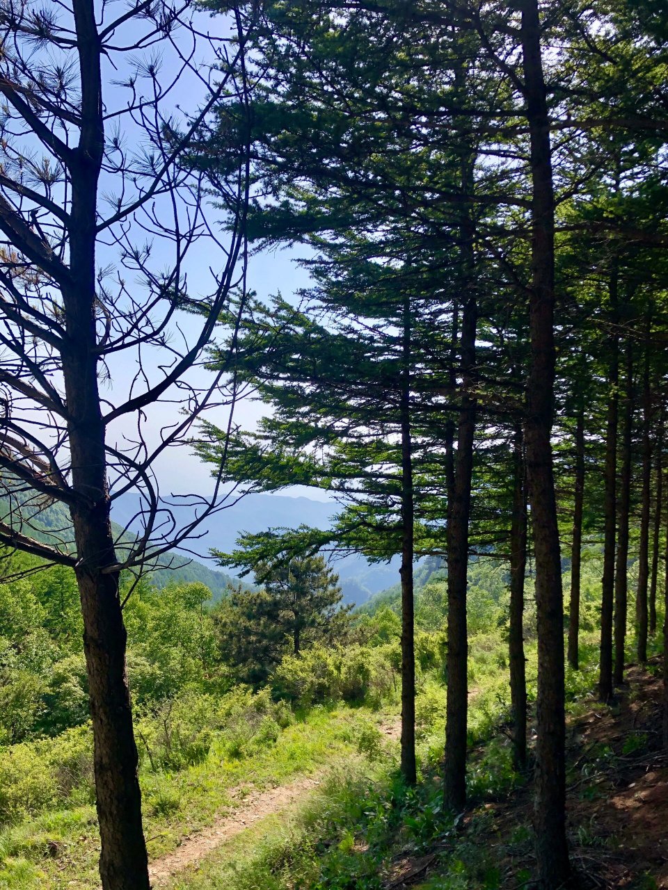 霍州七里峪 78 七里峪风景区位于山西省临汾市辖区内中镇霍山的北部