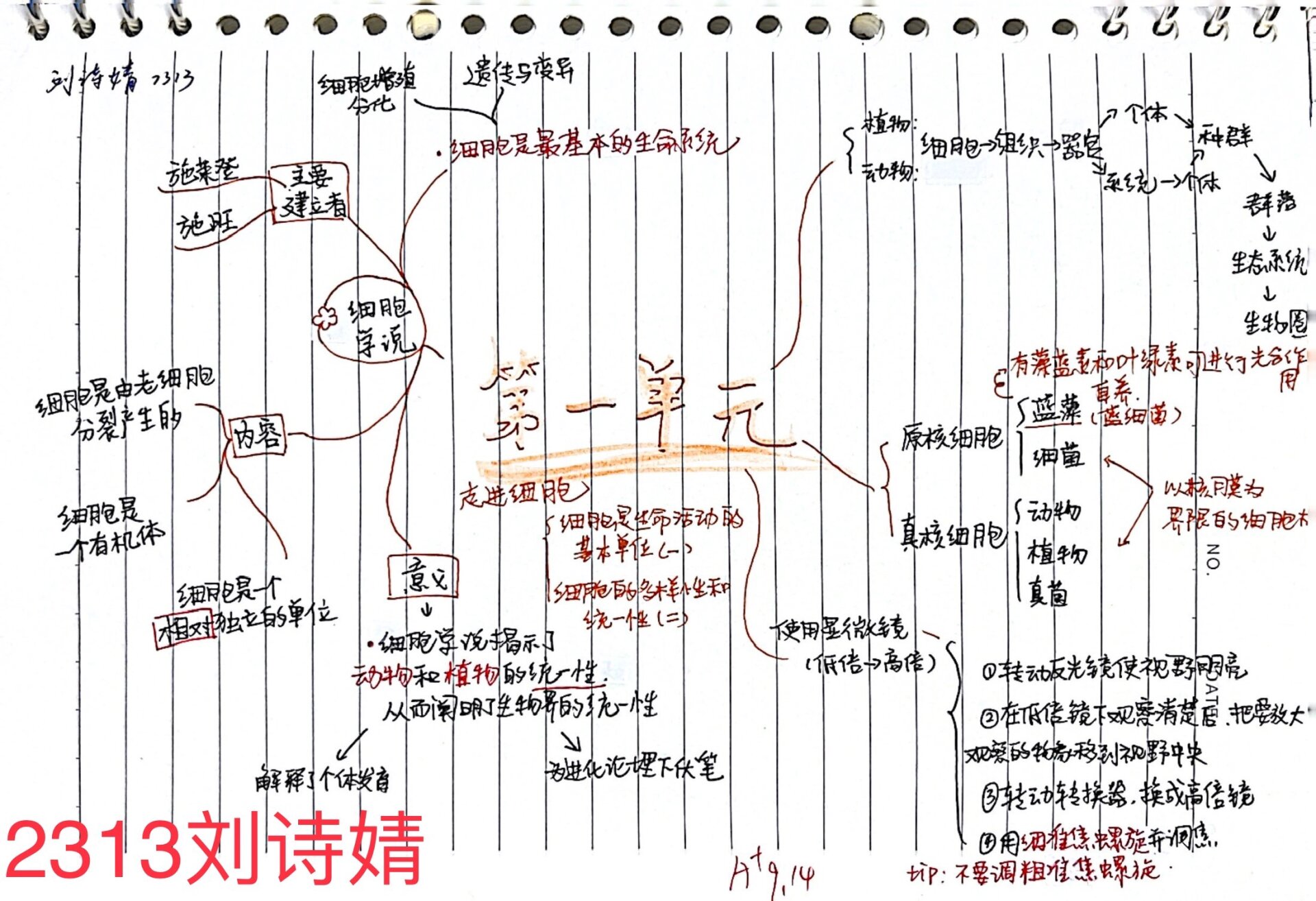 高中生物必修一第一章思维导图分享四