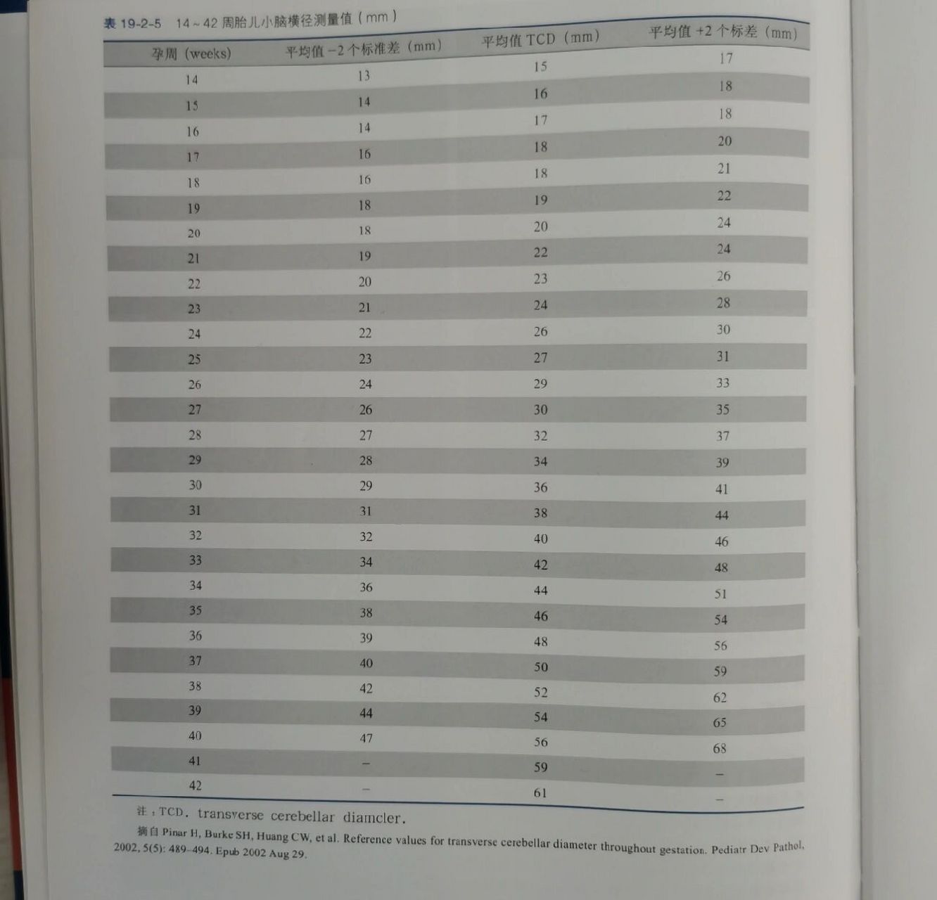 胎儿小脑横径测量值
