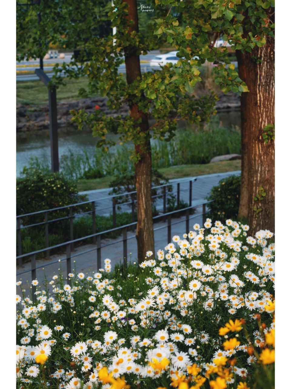 不会还有人没去过下沙青年林吧!