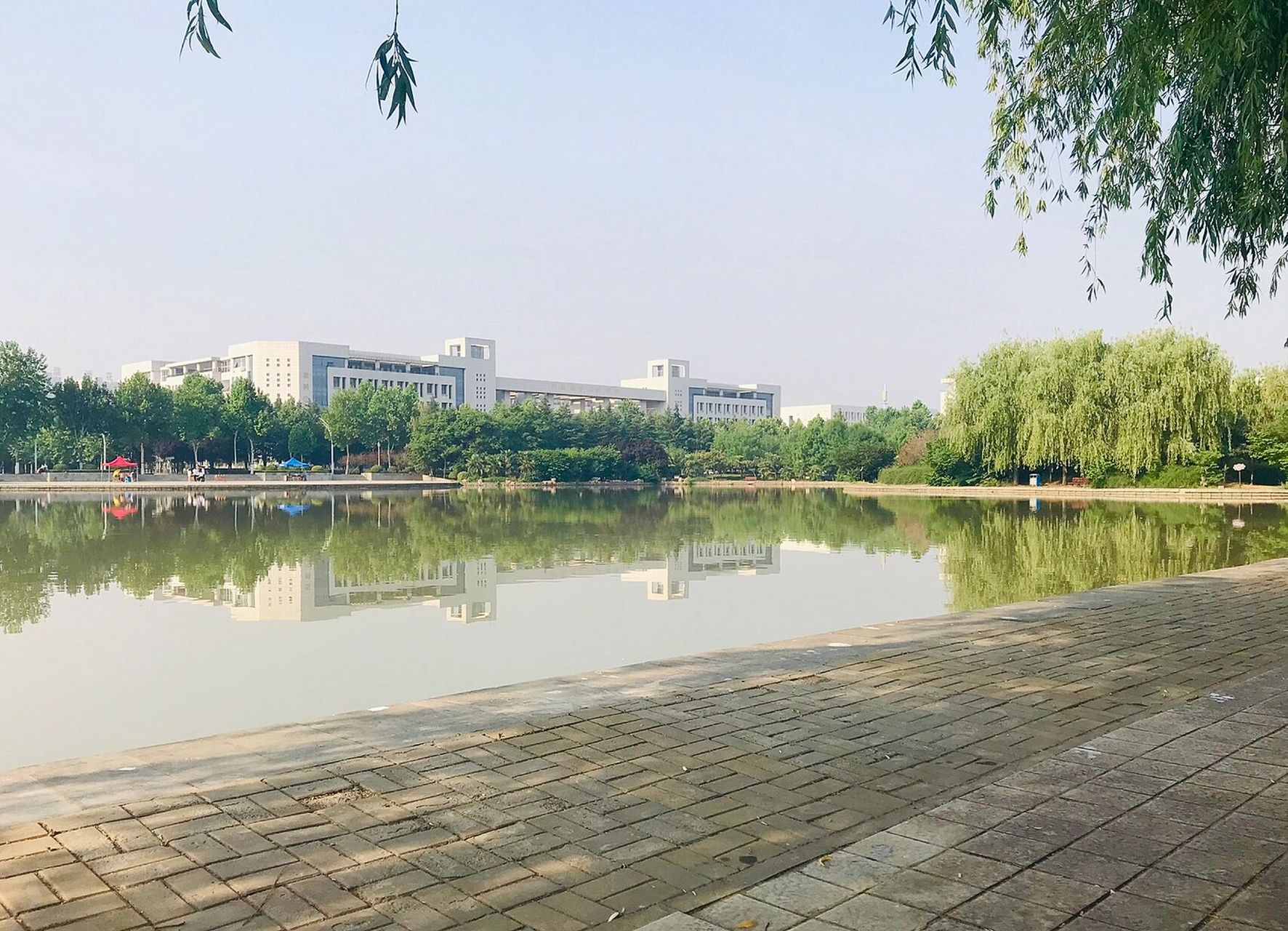 河南科技大学(开元校区) 又是一年报考季,刷看到好多学校的宣传.