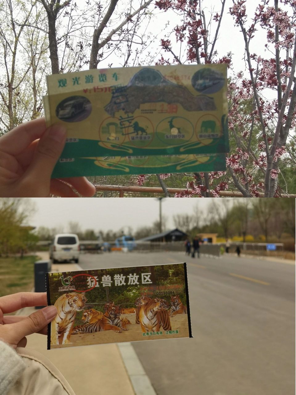 太原动物园放在全国也是非常炸裂的 家人们,现在门票5r5r诶!