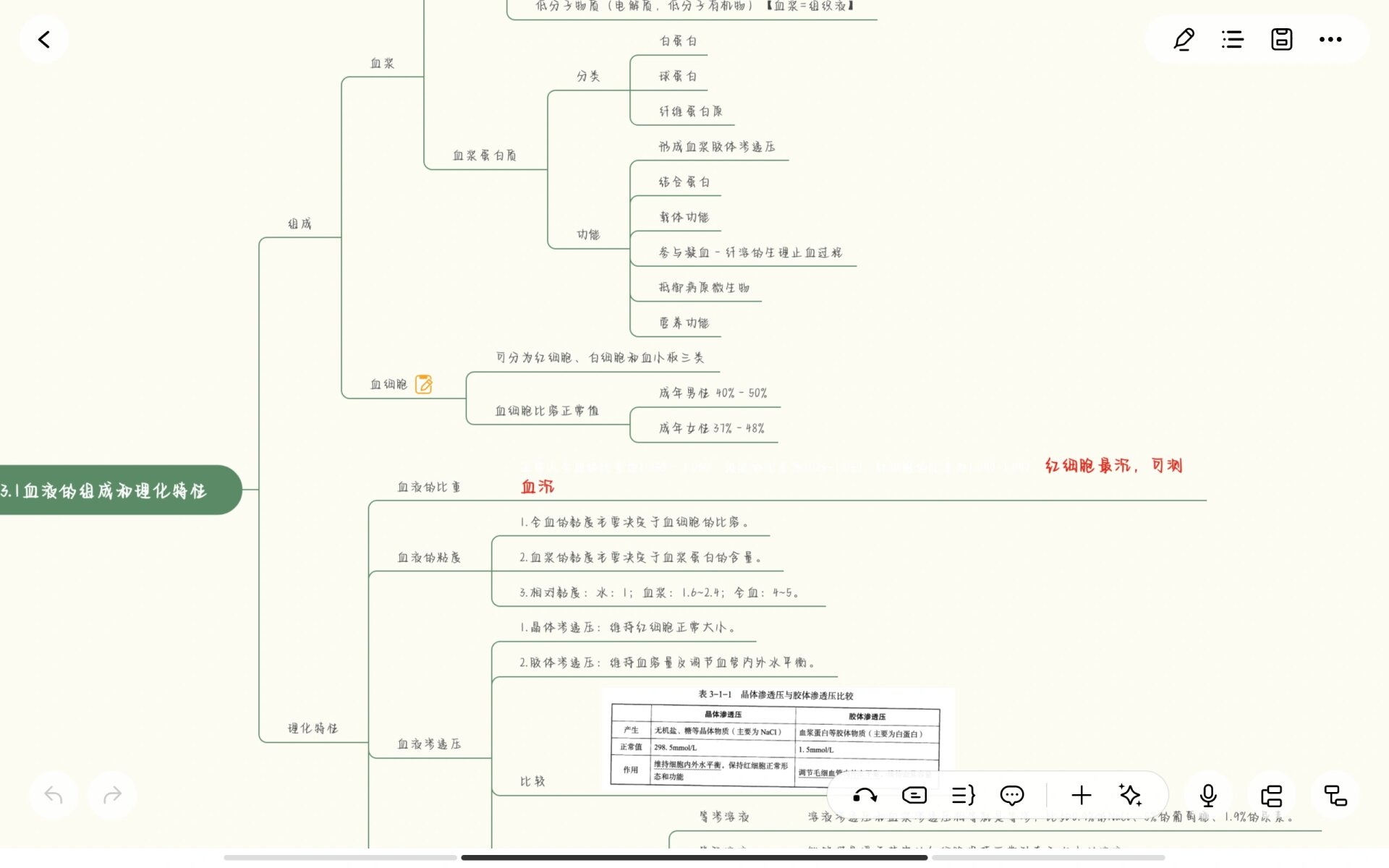 初中血液思维导图图片