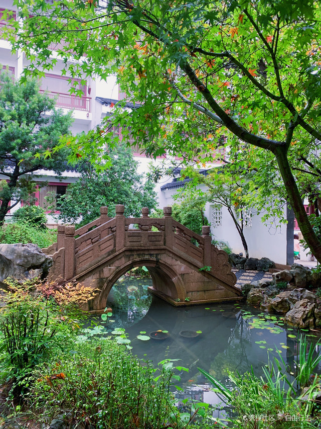 去苏州住吴宫泛太平洋酒店,直通盘门景区