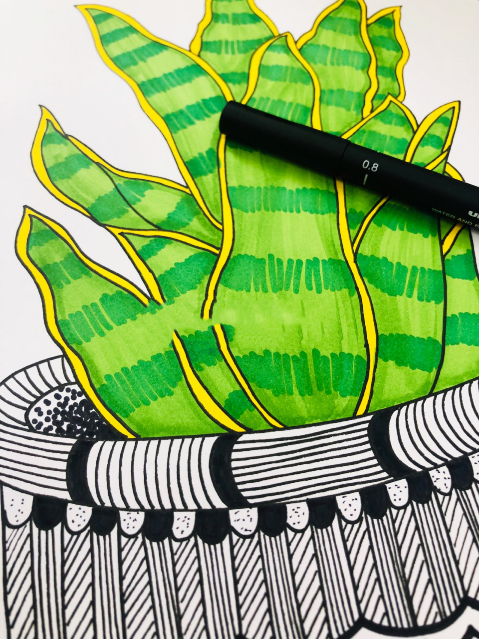 【儿童画植物-虎皮兰】 马克笔上色 黑白线描画 难度系数低,效果却是