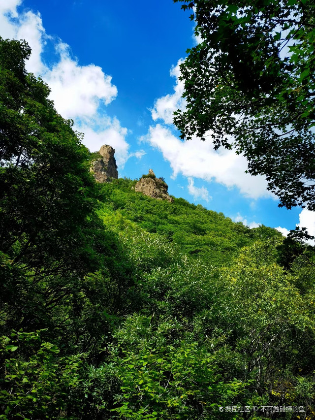 北方的森林明珠-茅荆坝国家森林公园