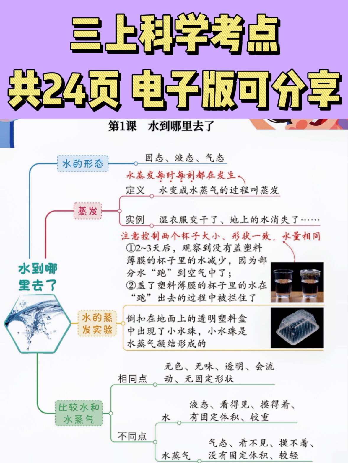 三上科学复习思维导图