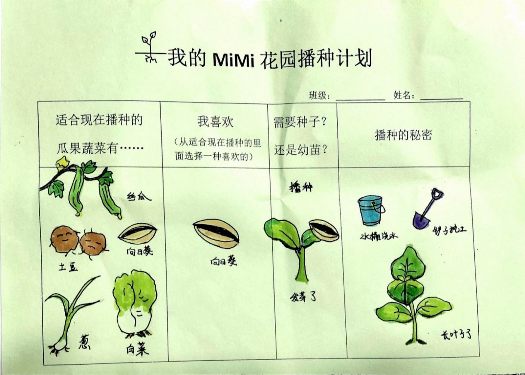 幼儿园播种调查表 适合春天播种的蔬菜瓜果 春天是播种的季节,今日份